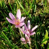 2309F 104 Altmuehltal